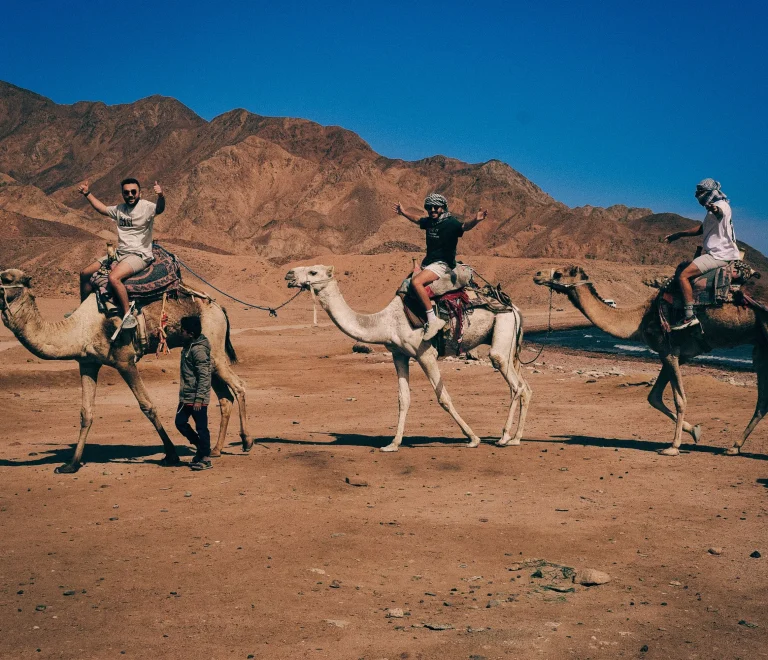 Siwa